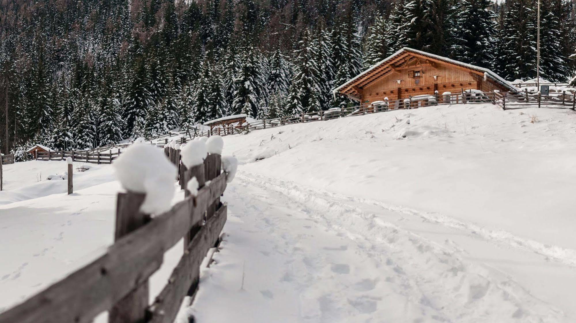La Casies Mountain Hotel Santa Maddalena in Casies Dış mekan fotoğraf